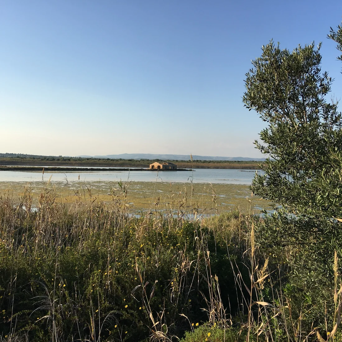Pantani di Vendicari con vegetazione mediterranea e antica costruzione sulla laguna